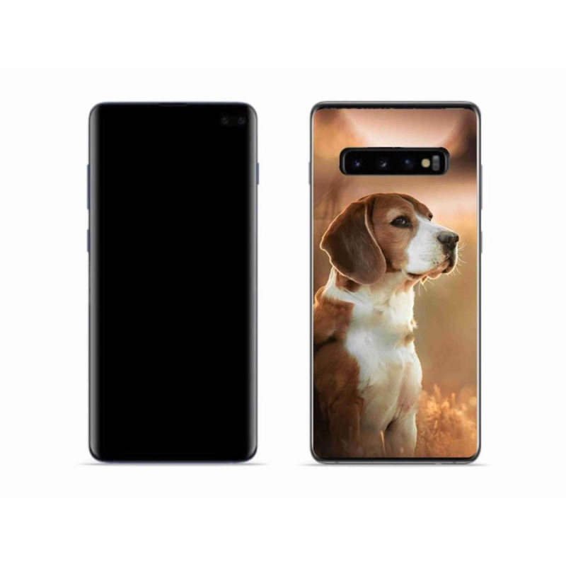 Gelový kryt mmCase na mobil Samsung Galaxy S10 - bígl