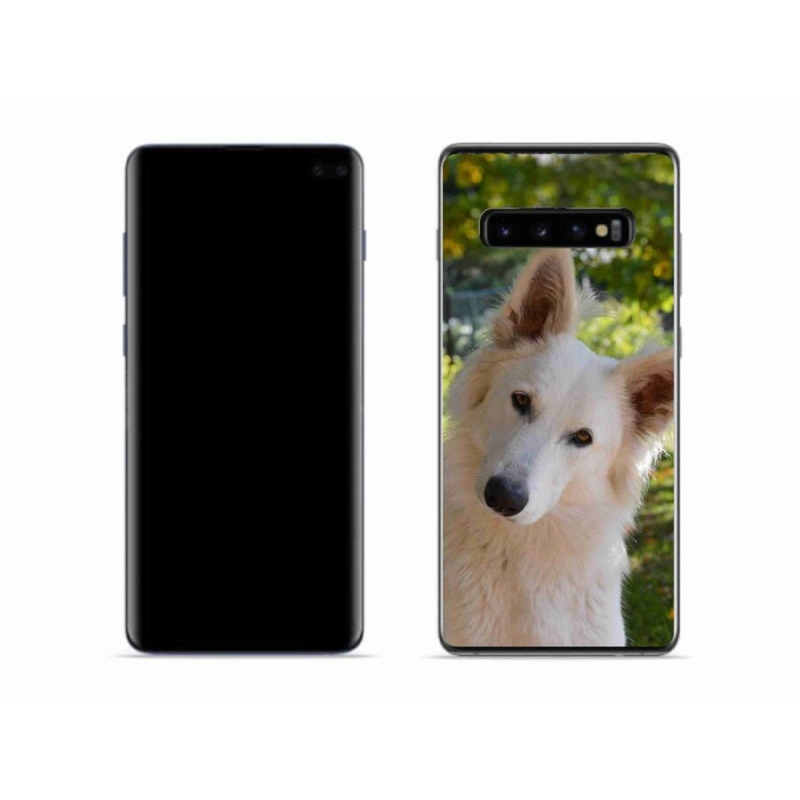 Gelový kryt mmCase na mobil Samsung Galaxy S10 - bílý švýcarský ovčák 1