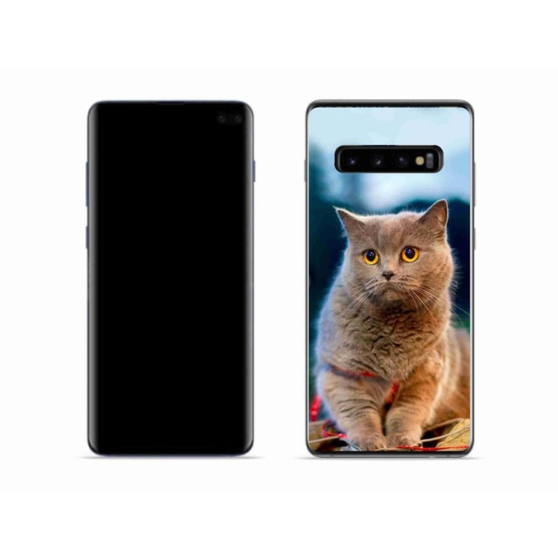 Gelový kryt mmCase na mobil Samsung Galaxy S10 - britská modrá 2