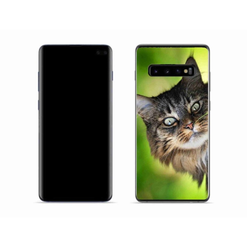 Gelový kryt mmCase na mobil Samsung Galaxy S10 - kočka 3