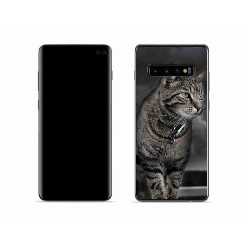 Gelový kryt mmCase na mobil Samsung Galaxy S10 - kočka