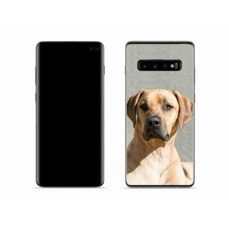 Gelový kryt mmCase na mobil Samsung Galaxy S10 - ridgeback