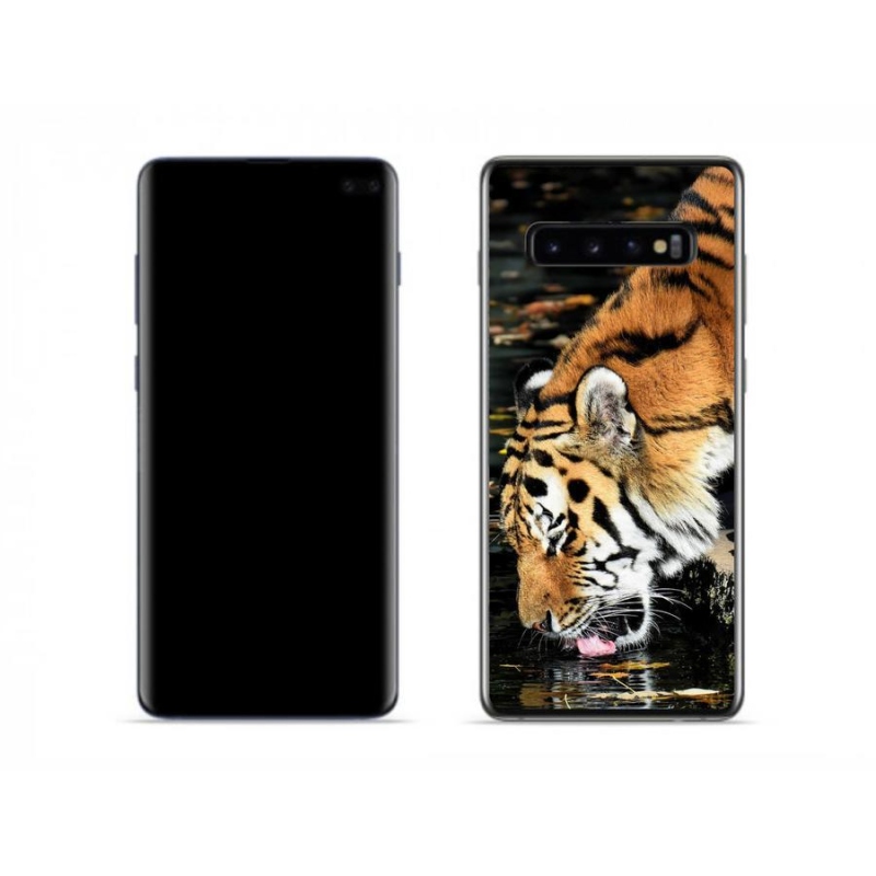 Gelový kryt mmCase na mobil Samsung Galaxy S10 - žíznivý tygr