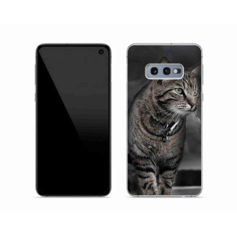 Gelový kryt mmCase na mobil Samsung Galaxy S10e - kočka
