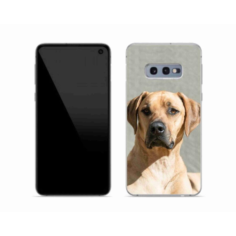 Gelový kryt mmCase na mobil Samsung Galaxy S10e - ridgeback
