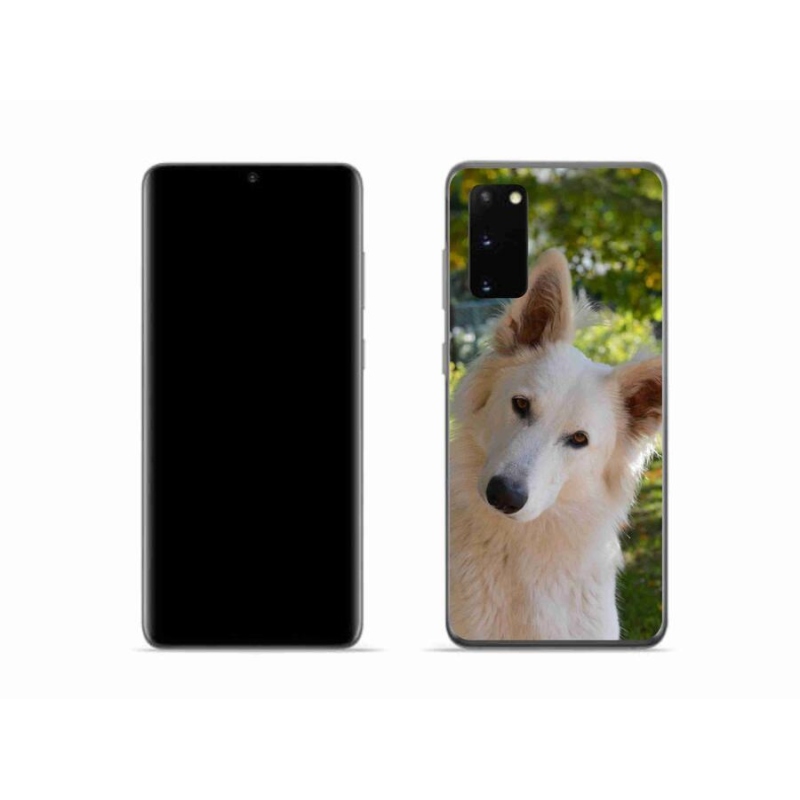 Gelový kryt mmCase na mobil Samsung Galaxy S20 - bílý švýcarský ovčák 1