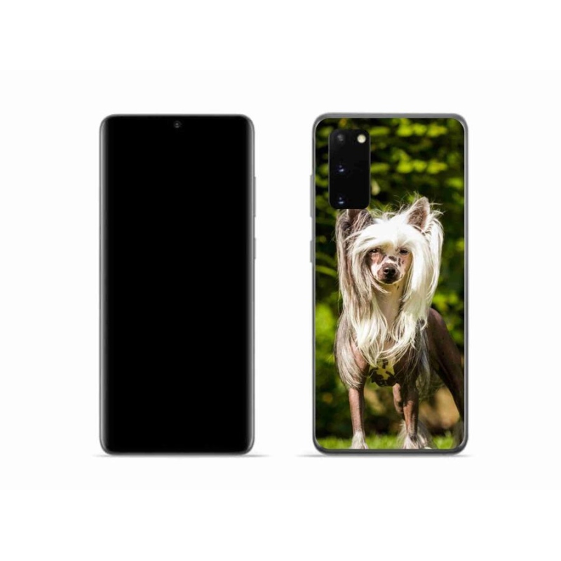 Gelový kryt mmCase na mobil Samsung Galaxy S20 - čínský chocholatý pes