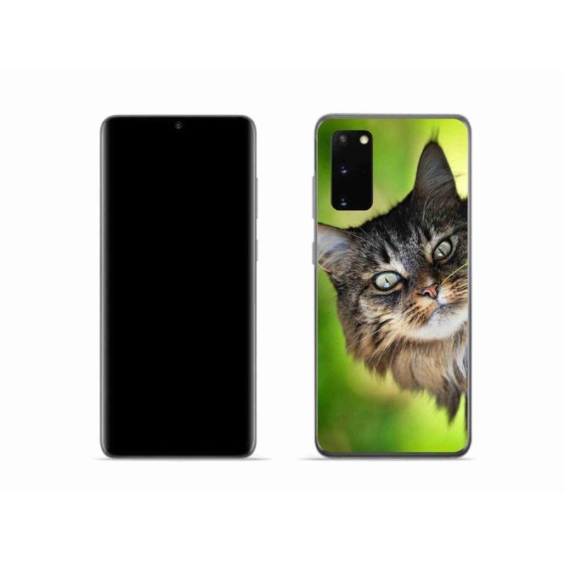Gelový kryt mmCase na mobil Samsung Galaxy S20 - kočka 3