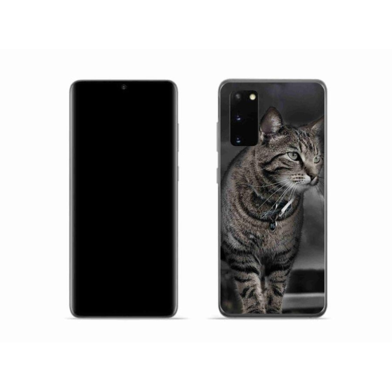 Gelový kryt mmCase na mobil Samsung Galaxy S20 - kočka