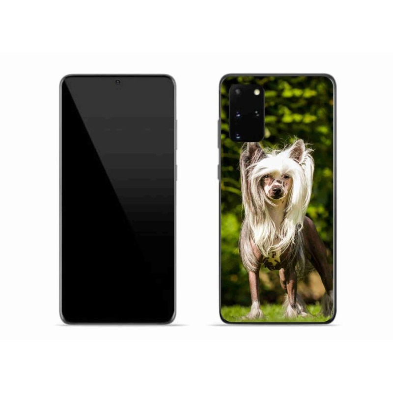 Gelový kryt mmCase na mobil Samsung Galaxy S20 Plus - čínský chocholatý pes