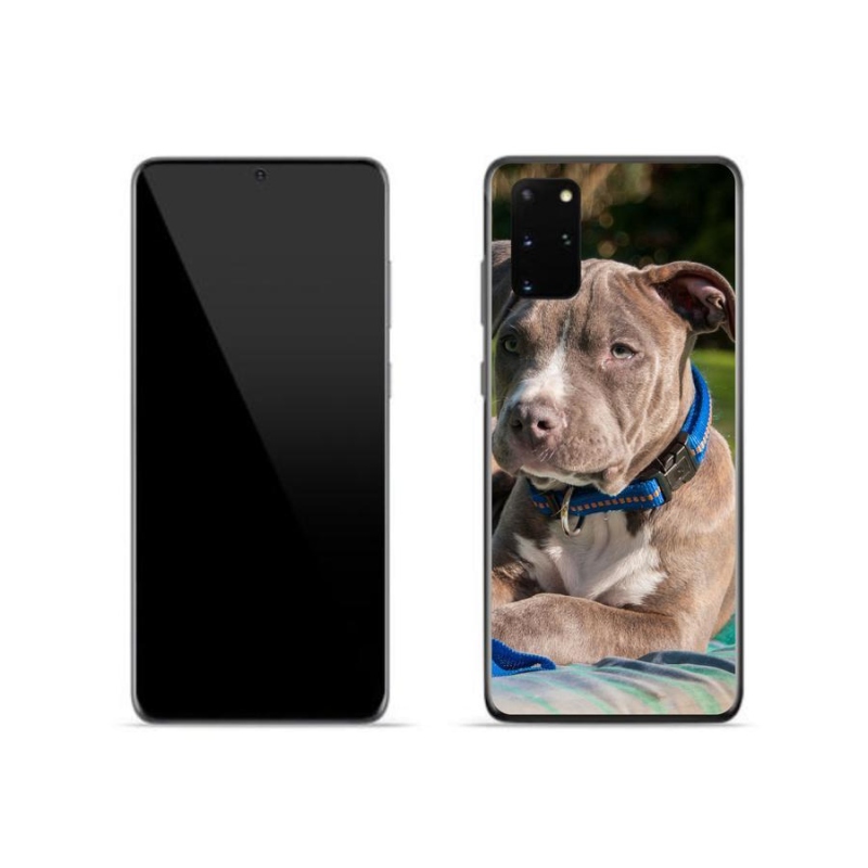 Gelový kryt mmCase na mobil Samsung Galaxy S20 Plus - pitbull