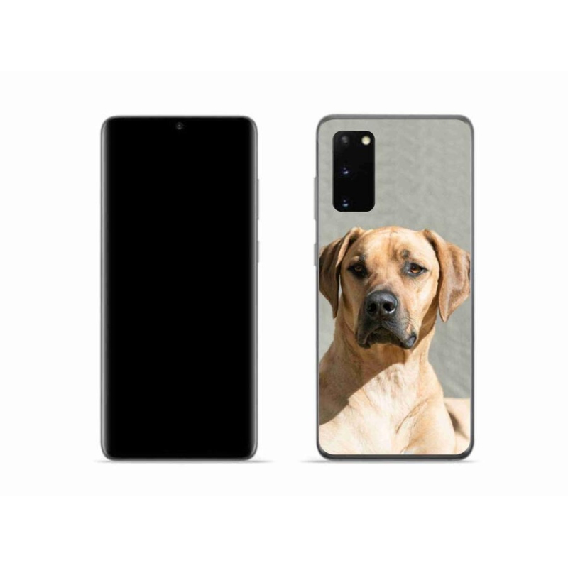 Gelový kryt mmCase na mobil Samsung Galaxy S20 - ridgeback