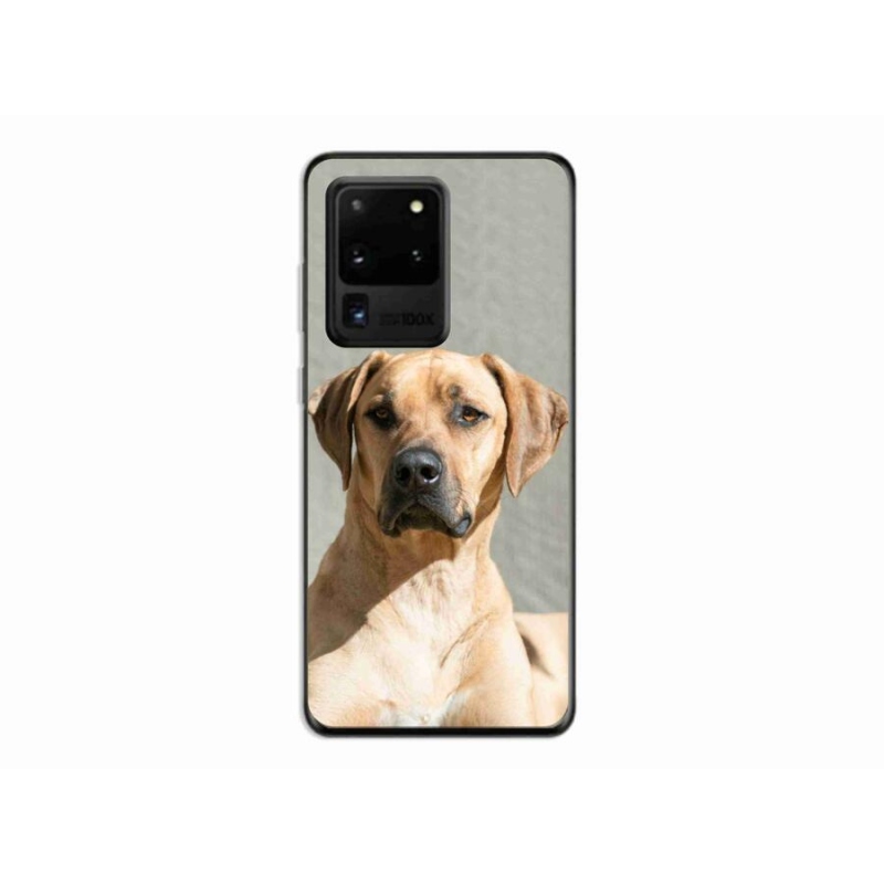 Gelový kryt mmCase na mobil Samsung Galaxy S20 Ultra - ridgeback