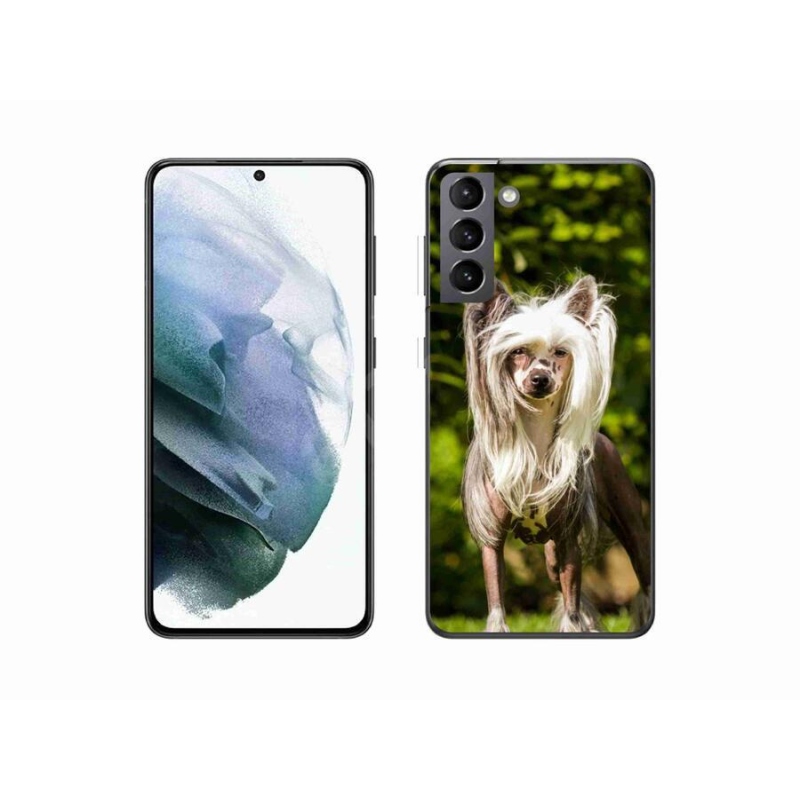 Gelový kryt mmCase na mobil Samsung Galaxy S21 - čínský chocholatý pes