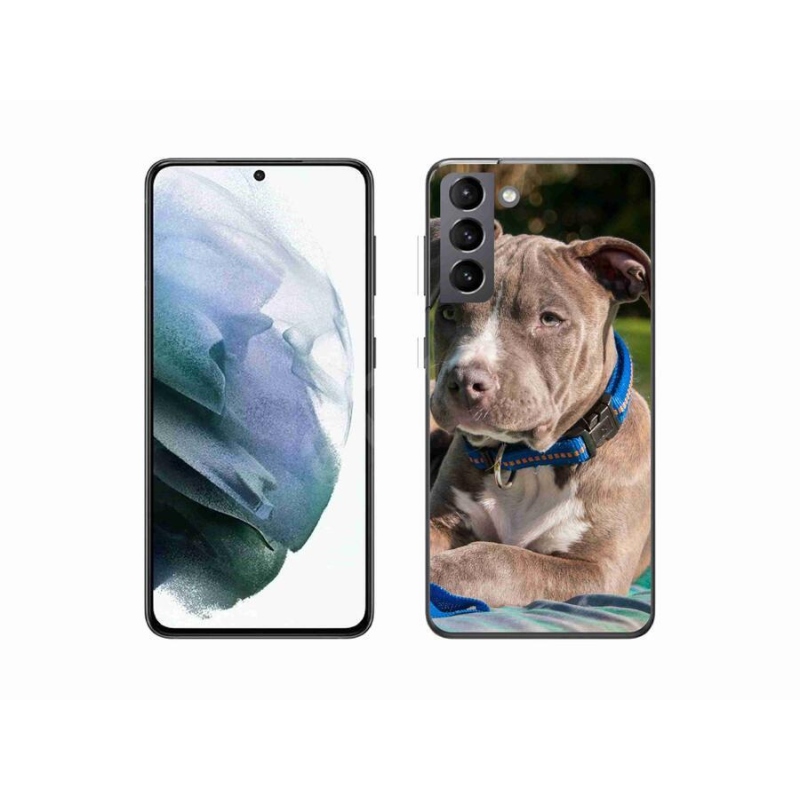 Gelový kryt mmCase na mobil Samsung Galaxy S21 - pitbull