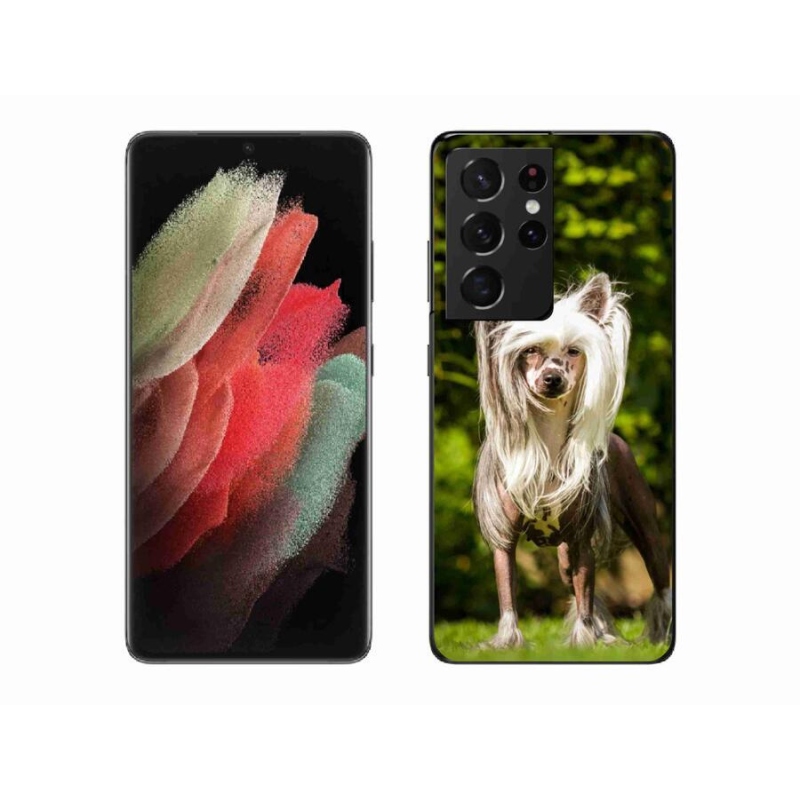 Gelový kryt mmCase na mobil Samsung Galaxy S21 Ultra 5G - čínský chocholatý pes