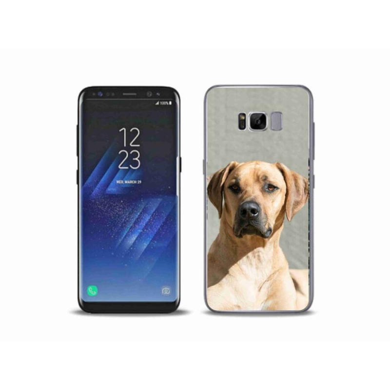 Gelový kryt mmCase na mobil Samsung Galaxy S8 Plus - ridgeback