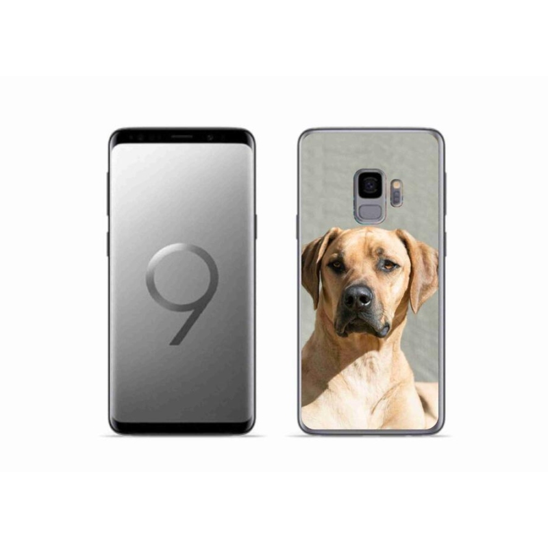 Gelový kryt mmCase na mobil Samsung Galaxy S9 - ridgeback