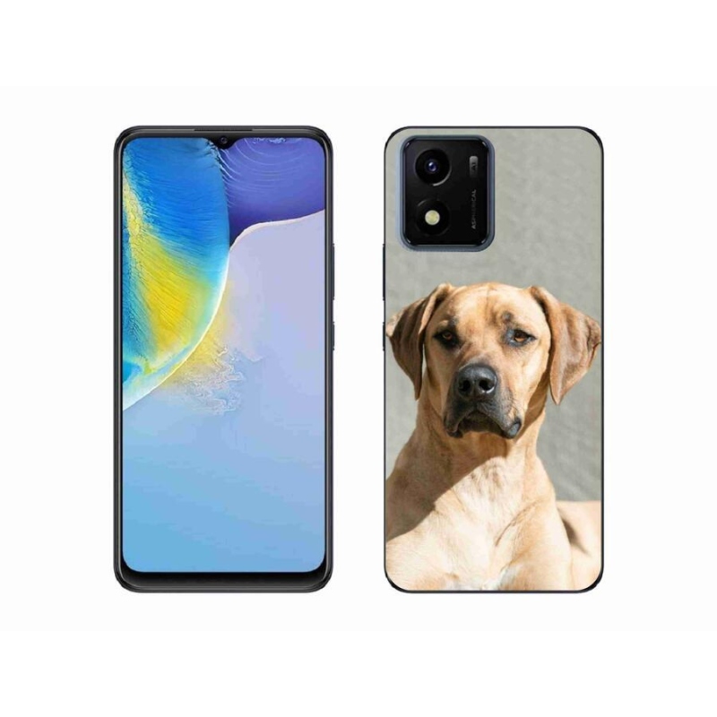 Gelový kryt mmCase na mobil Vivo Y01 - ridgeback