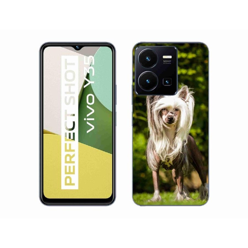 Gelový kryt mmCase na mobil Vivo Y35 - čínský chocholatý pes