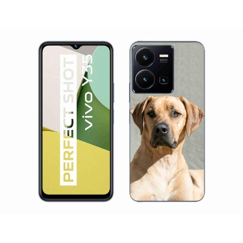 Gelový kryt mmCase na mobil Vivo Y35 - ridgeback