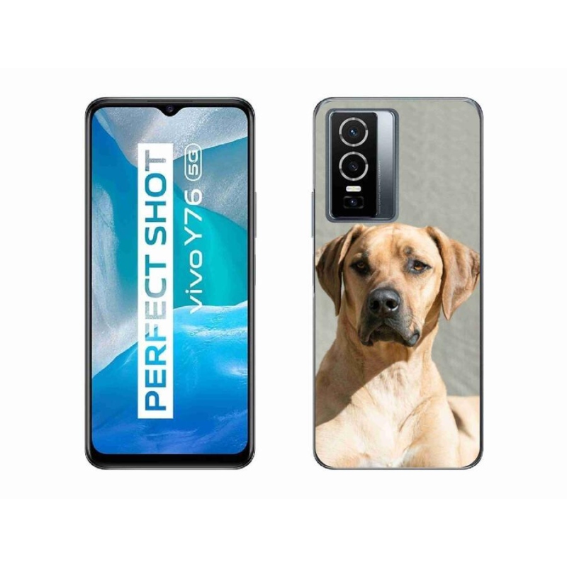 Gelový kryt mmCase na mobil Vivo Y76 5G - ridgeback