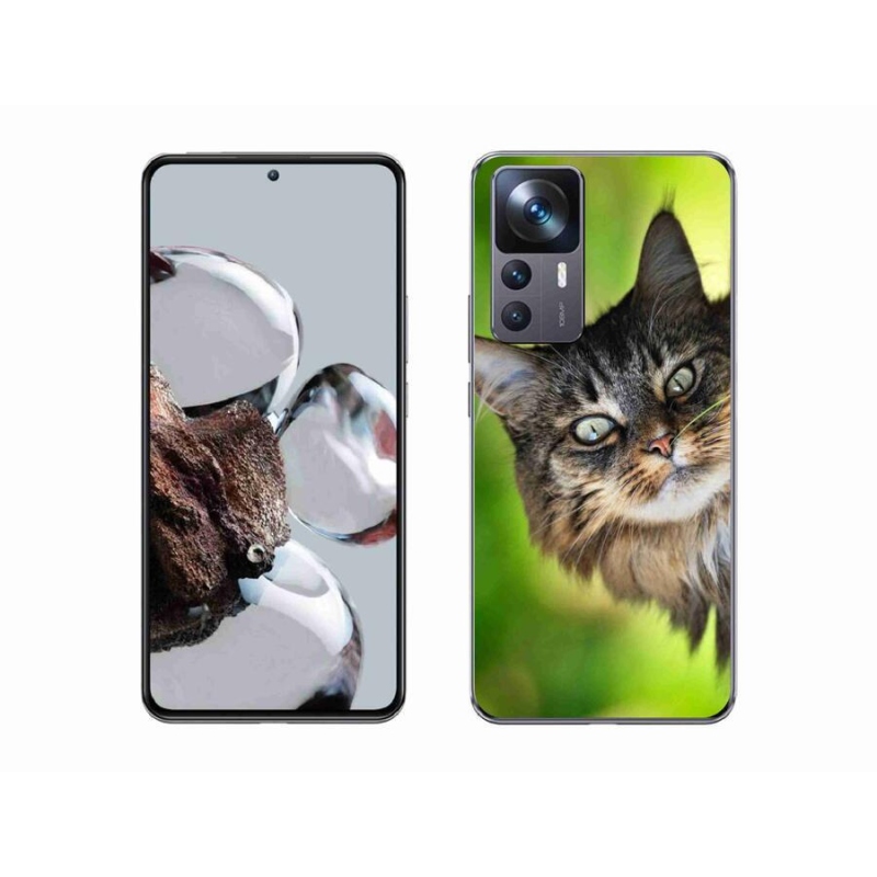 Gelový kryt mmCase na mobil Xiaomi 12T Pro - kočka 3