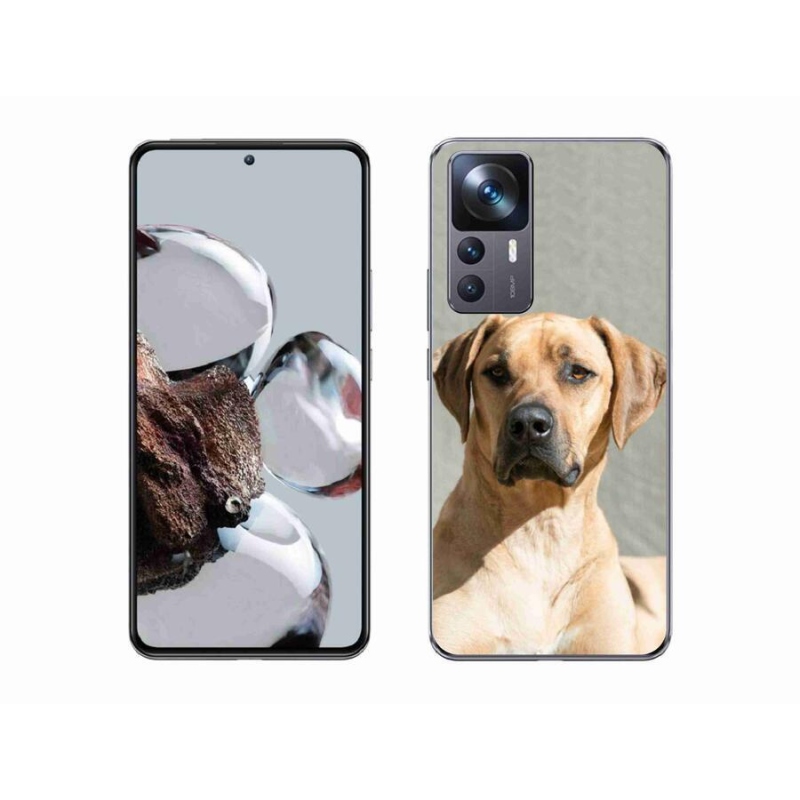 Gelový kryt mmCase na mobil Xiaomi 12T Pro - ridgeback