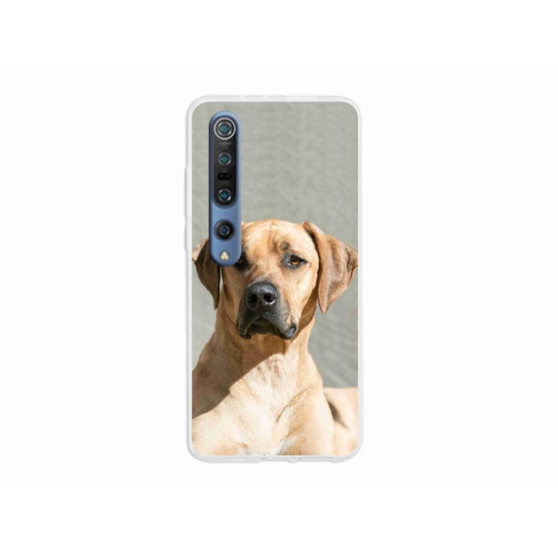 Gelový kryt mmCase na mobil Xiaomi Mi 10 - ridgeback