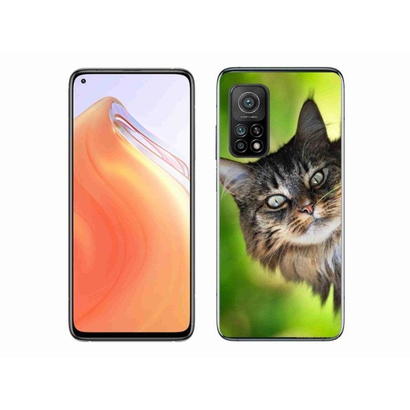 Gelový kryt mmCase na mobil Xiaomi Mi 10T 5G - kočka 3