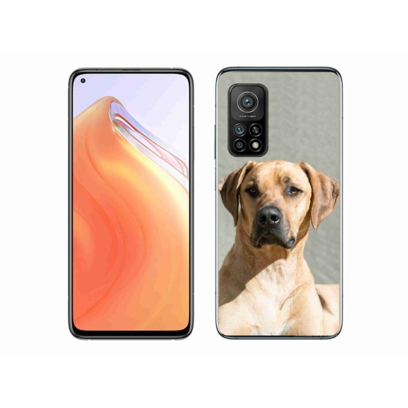 Gelový kryt mmCase na mobil Xiaomi Mi 10T 5G - ridgeback