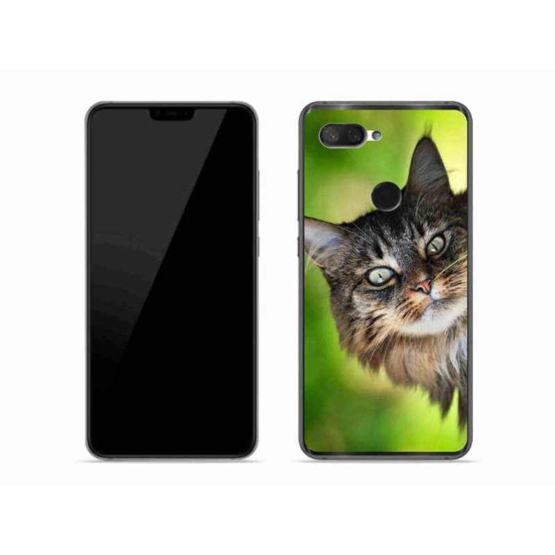 Gelový kryt mmCase na mobil Xiaomi Mi 8 Lite - kočka 3