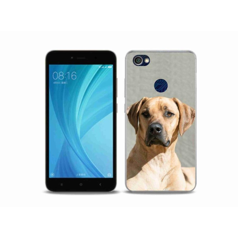 Gelový kryt mmCase na mobil Xiaomi Redmi Note 5A Prime - ridgeback