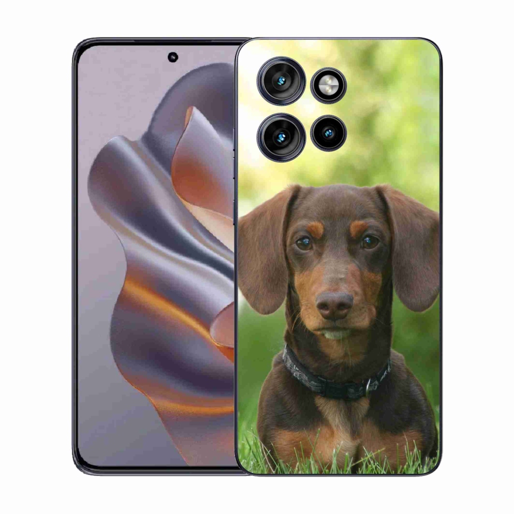 Gelový kryt mmCase na Motorola Edge 50 Neo - hnědý jezevčík