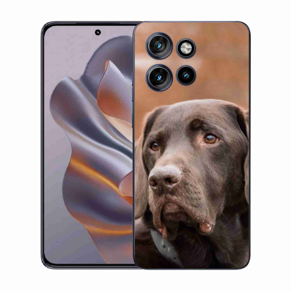 Gelový kryt mmCase na Motorola Edge 50 Neo - hnědý labrador