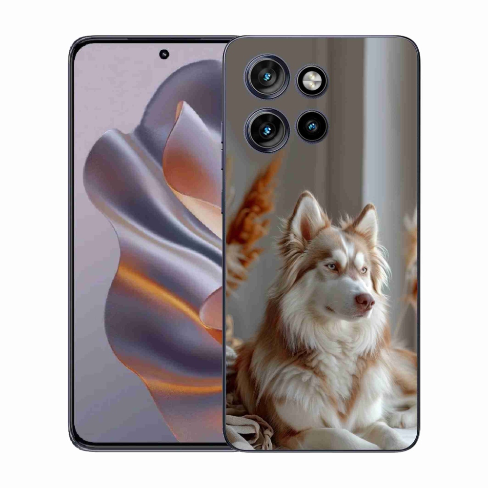 Gelový kryt mmCase na Motorola Edge 50 Neo - klidný sibiřský husky