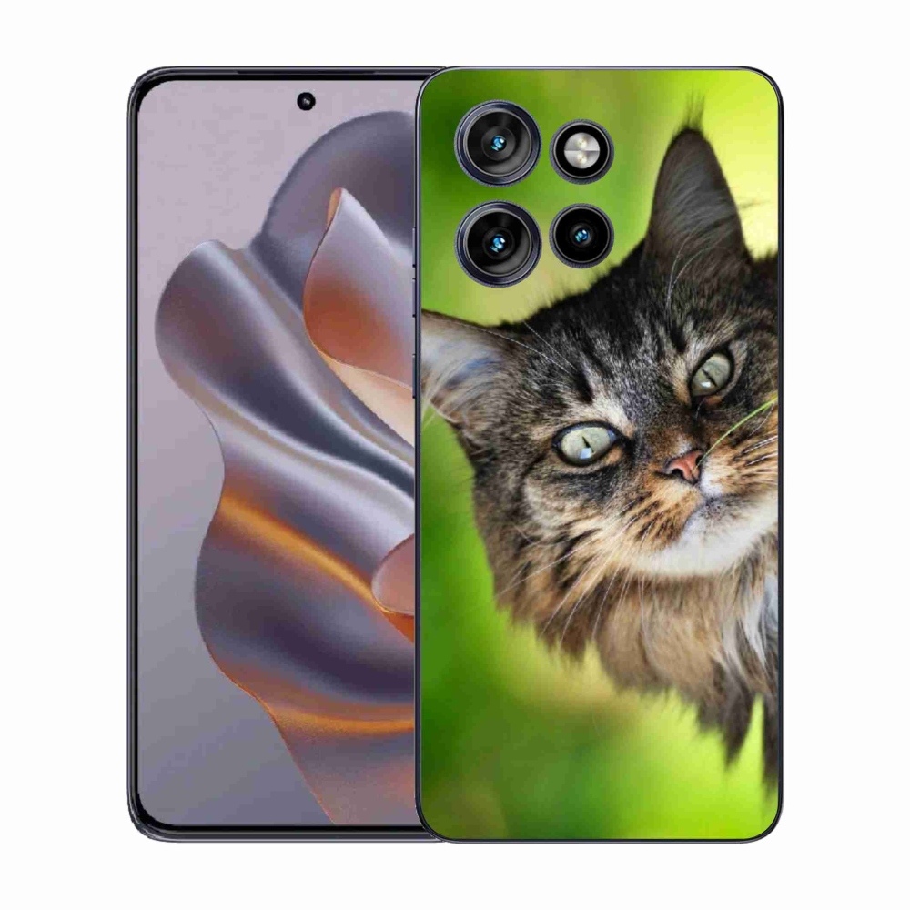 Gelový kryt mmCase na Motorola Edge 50 Neo - kočka 3