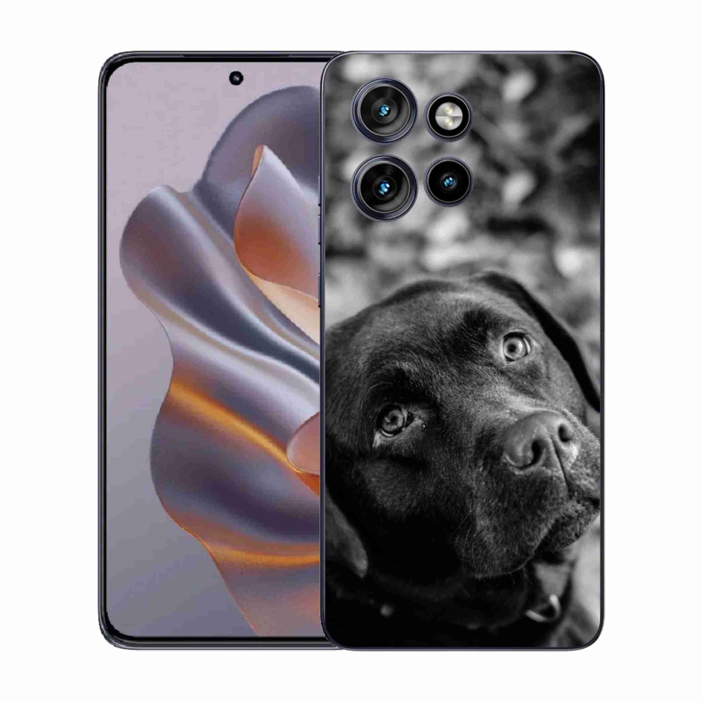 Gelový kryt mmCase na Motorola Edge 50 Neo - labrador