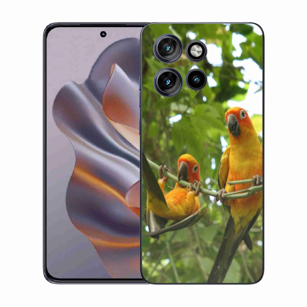 Gelový kryt mmCase na Motorola Edge 50 Neo - papoušci aratingy