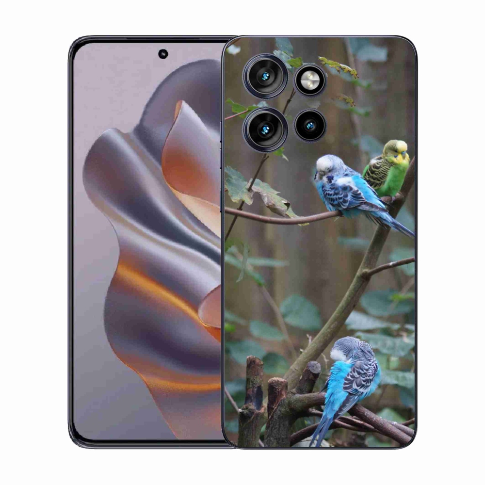 Gelový kryt mmCase na Motorola Edge 50 Neo - papoušci na větvi
