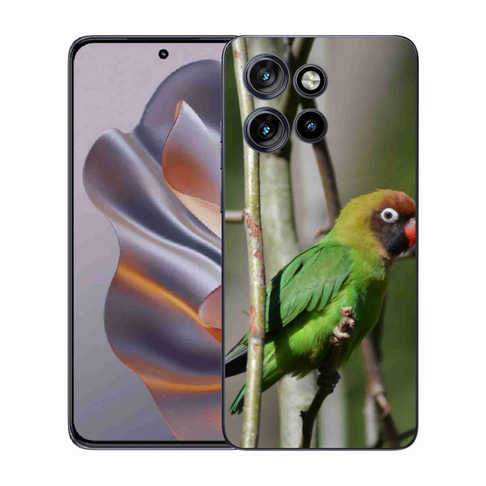 Gelový kryt mmCase na Motorola Edge 50 Neo - papoušek agapornis