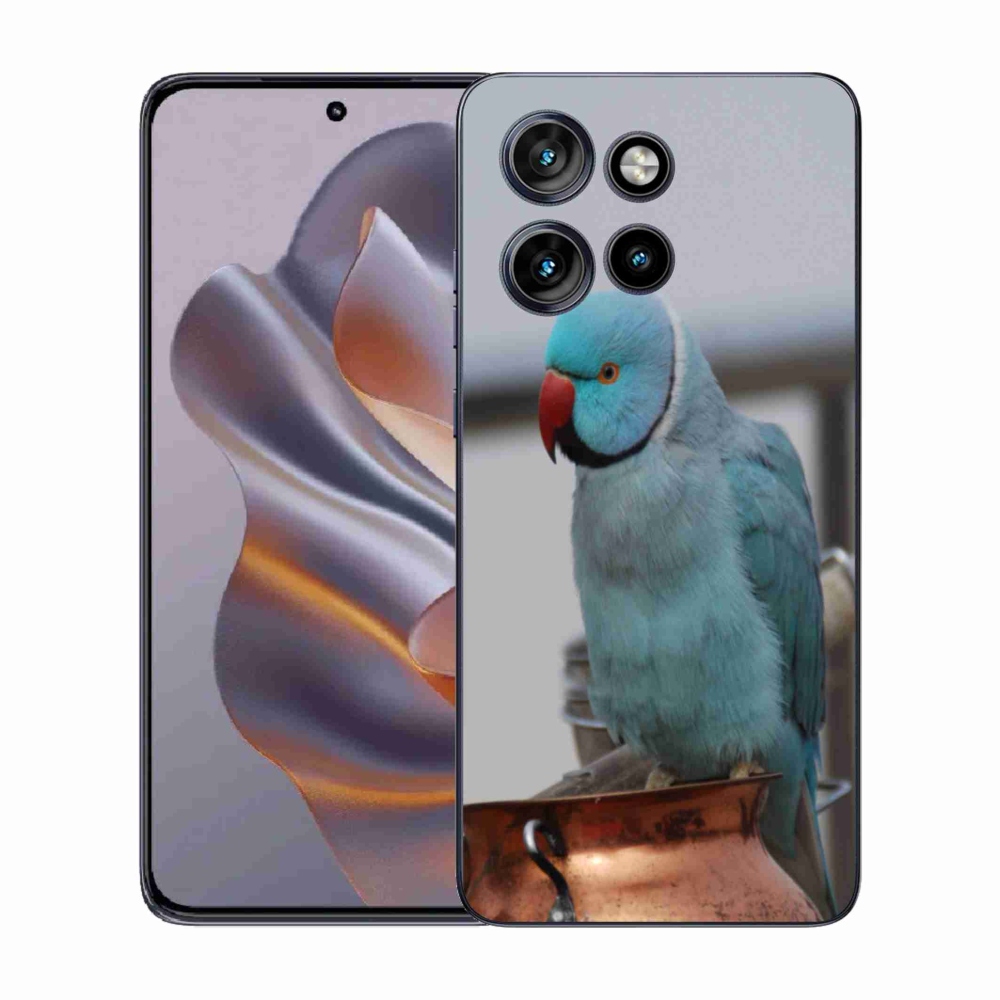 Gelový kryt mmCase na Motorola Edge 50 Neo - papoušek alexandr modrý