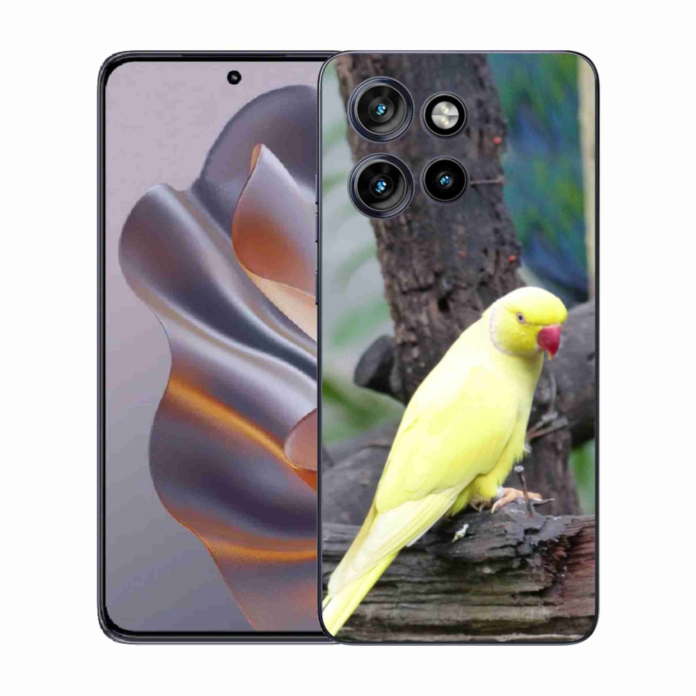 Gelový kryt mmCase na Motorola Edge 50 Neo - papoušek alexandr žlutý