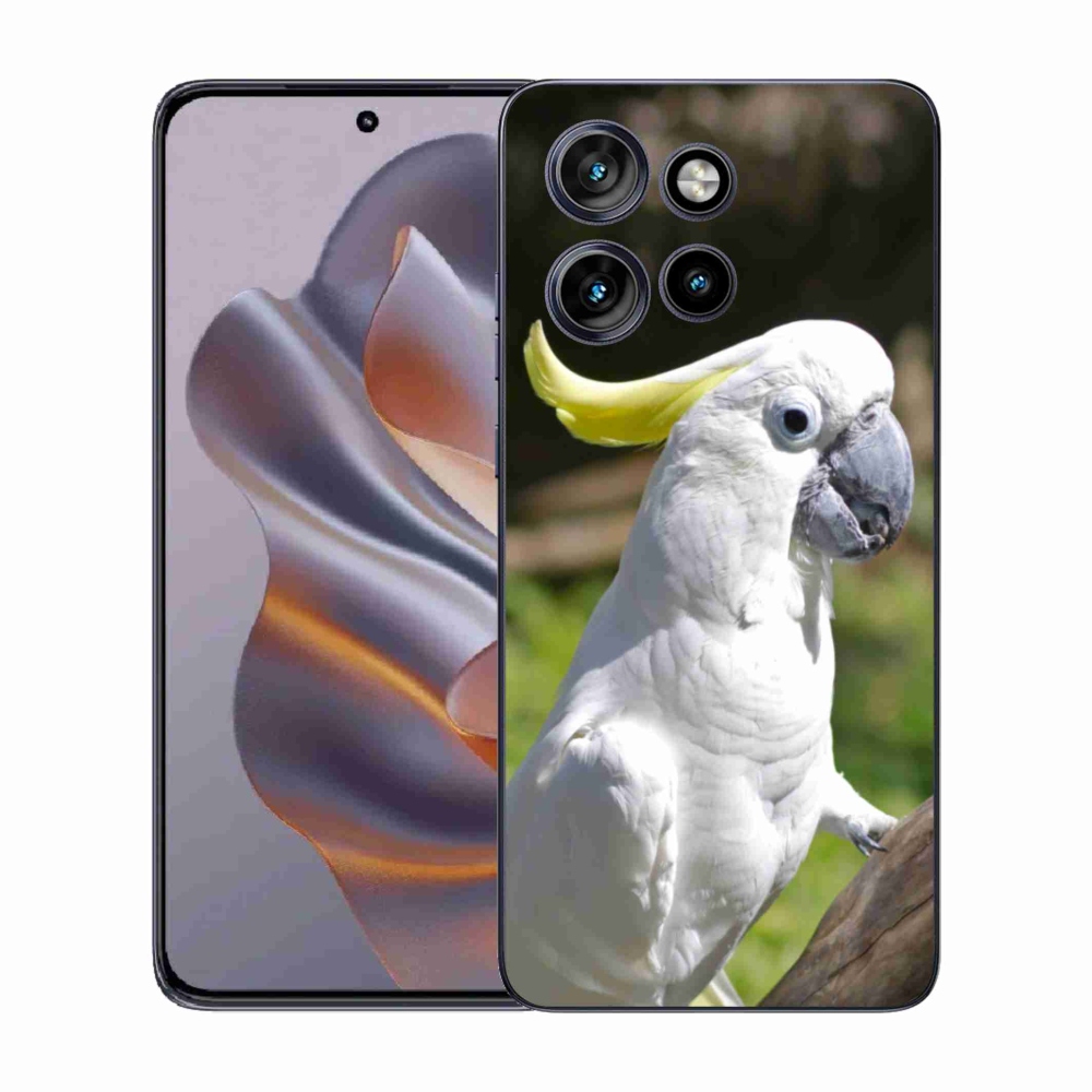 Gelový kryt mmCase na Motorola Edge 50 Neo - papoušek kakadu 2
