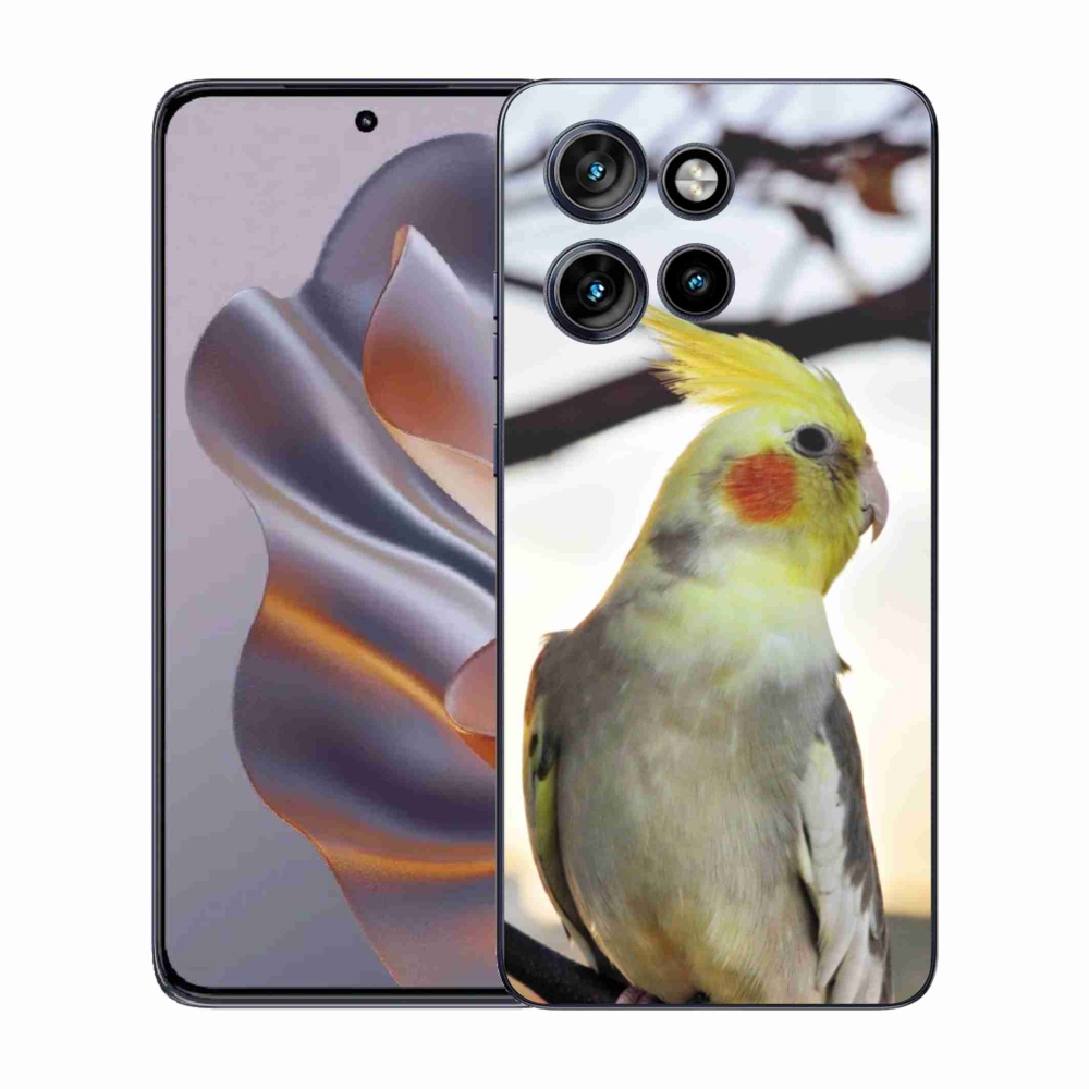 Gelový kryt mmCase na Motorola Edge 50 Neo - papoušek korela