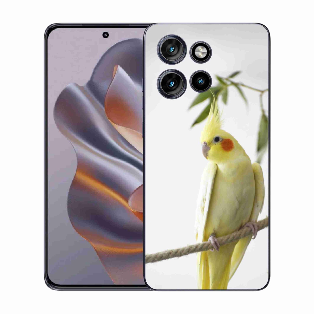 Gelový kryt mmCase na Motorola Edge 50 Neo - papoušek korela chocholatá