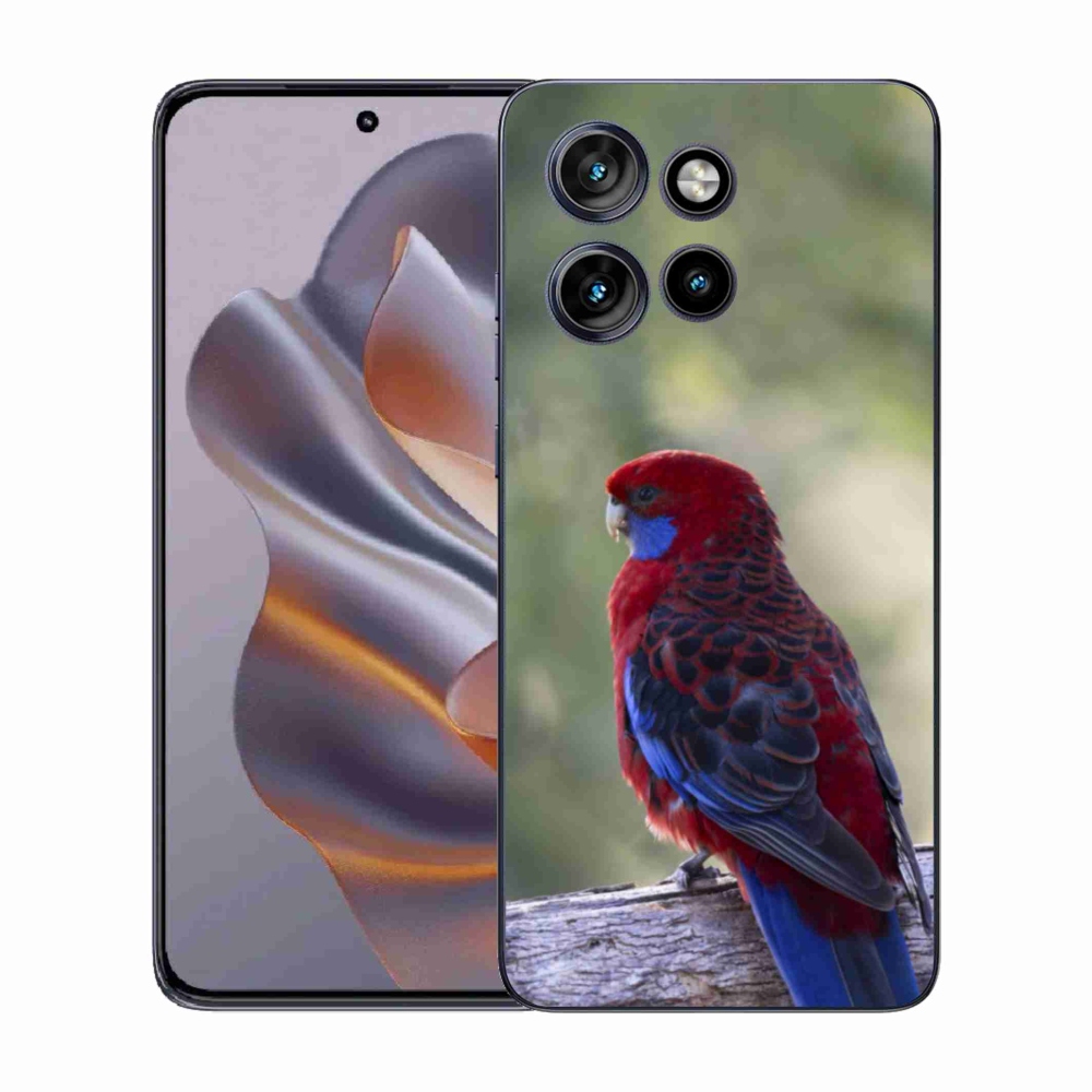 Gelový kryt mmCase na Motorola Edge 50 Neo - papoušek rosela