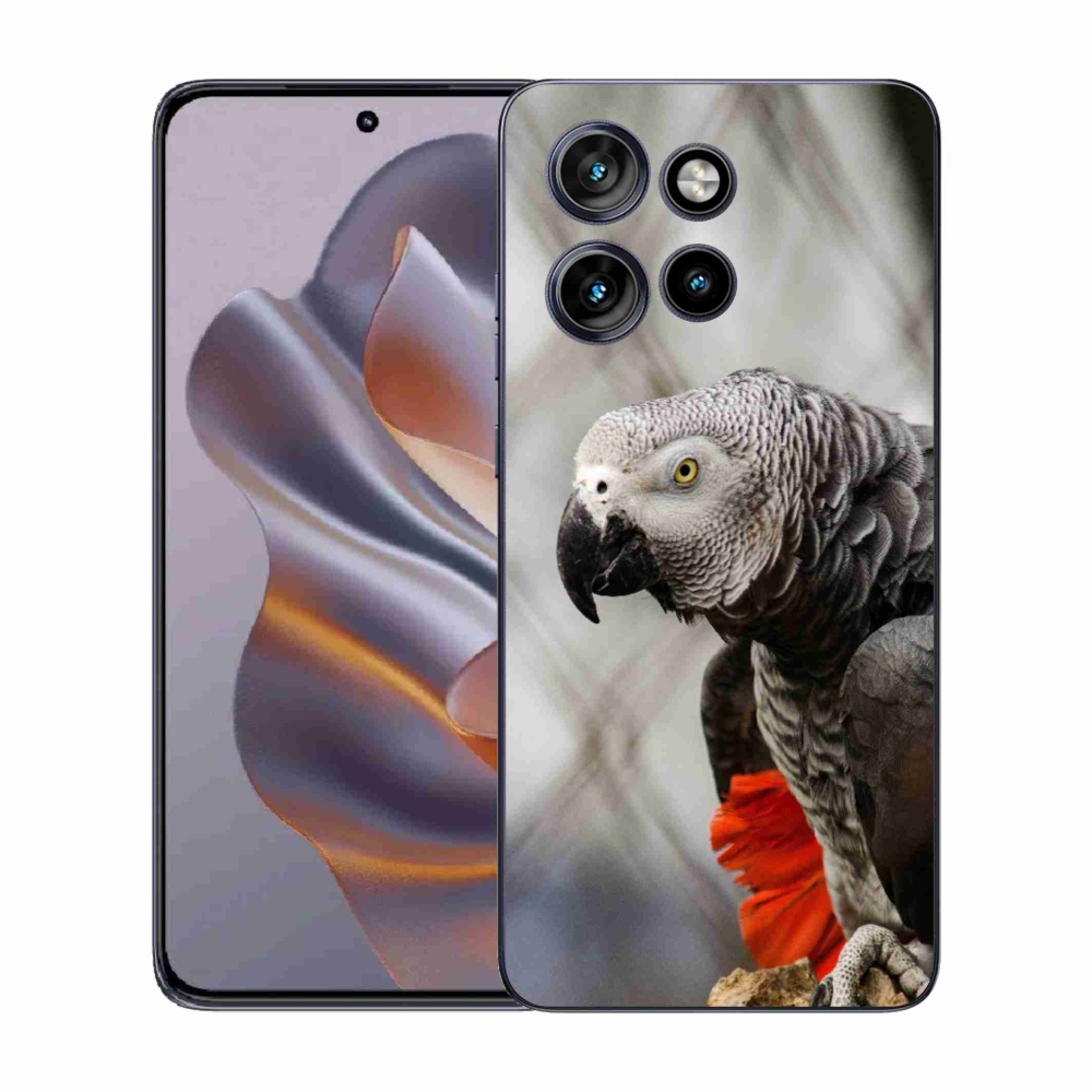Gelový kryt mmCase na Motorola Edge 50 Neo - papoušek žako 3