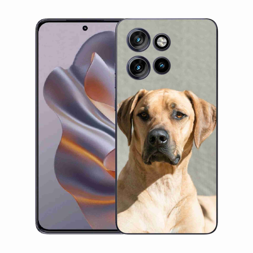 Gelový kryt mmCase na Motorola Edge 50 Neo - ridgeback