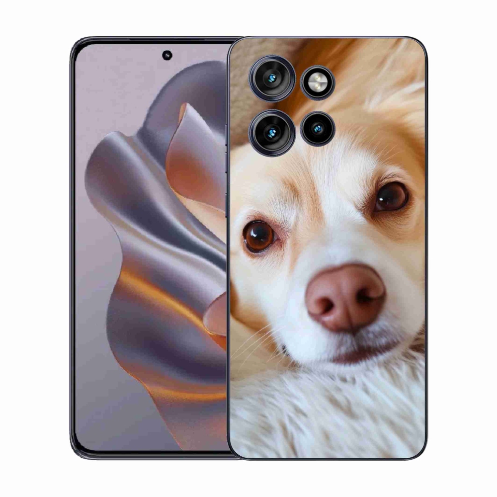 Gelový kryt mmCase na Motorola Edge 50 Neo - Roztomilá čivava